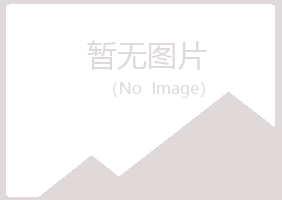 攀枝花夏青化学有限公司